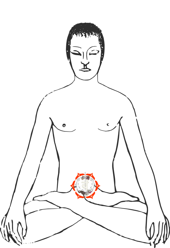 Chakra-Willi mit eingezeichnetem Swadhisthana-Chakra. Dieses Chakra zu befreien (Blockaden auflösen) kann dazu beitragen Erschöpfung los zu werden.
