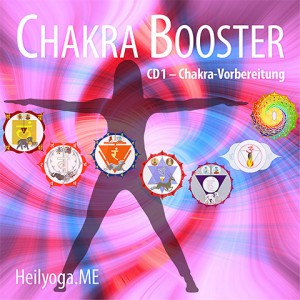 Chakra Online Kurs