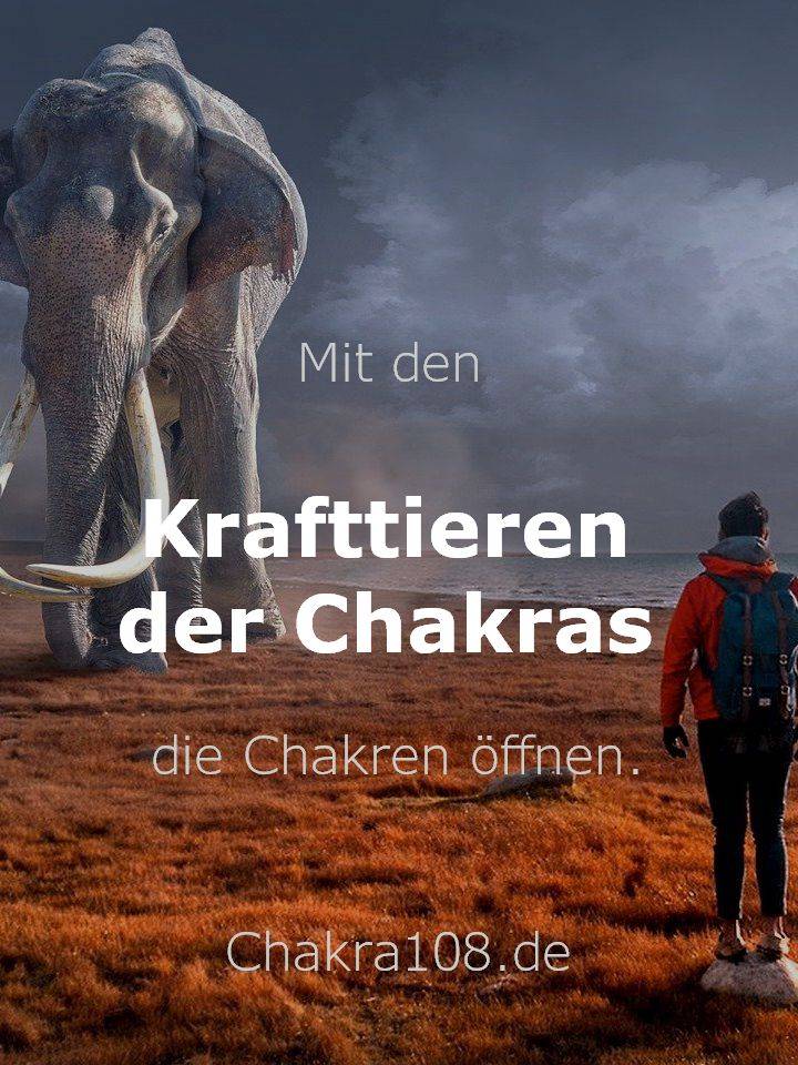 Mit den Krafttieren der Chakras die Chakren öffnen