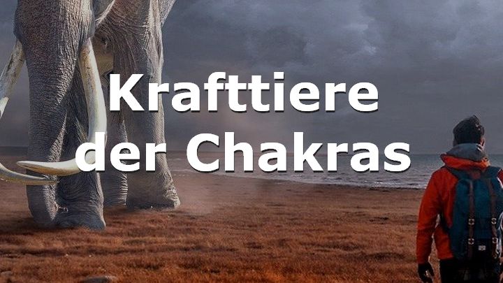 Krafttiere der Chakras - Schutztiere - Tiere in den Chakras